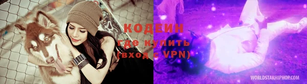 прущие грибы Аркадак