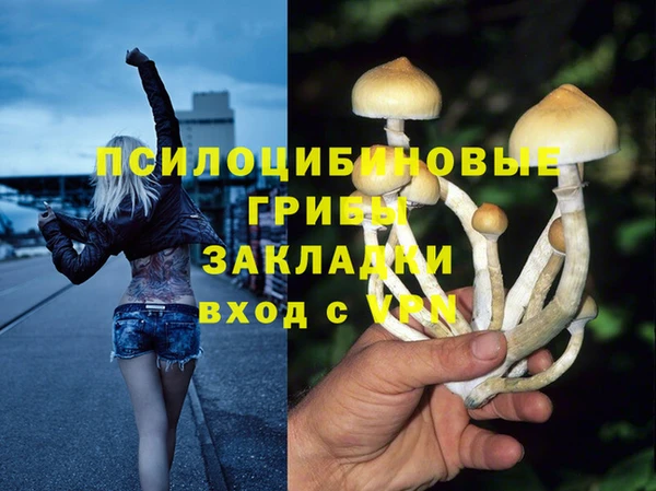 таблы Арсеньев